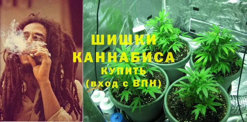 сайты даркнета Telegram  OMG ТОР  Марихуана White Widow  Ревда  где найти  